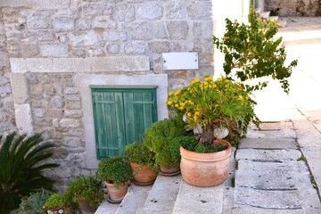 mediterranean house with flowers