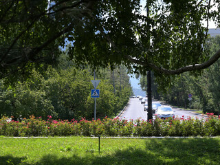 Almaty city summer day in a park. Shade of trees and flowers. Urban outdoors, Satpaev street.