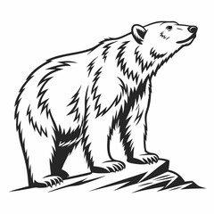 Polar bear black silhouette icon vector