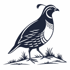 quail black silhouette icon vector