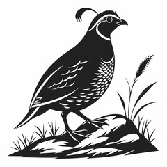 quail black silhouette icon vector