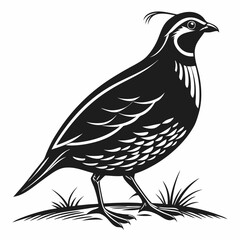 quail black silhouette icon vector