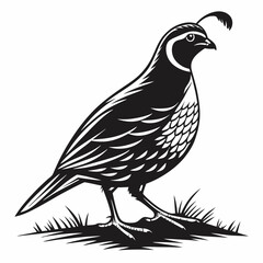 quail black silhouette icon vector