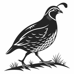 quail black silhouette icon vector