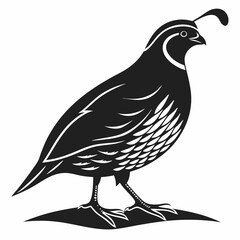 quail black silhouette icon vector