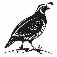 quail black silhouette icon vector