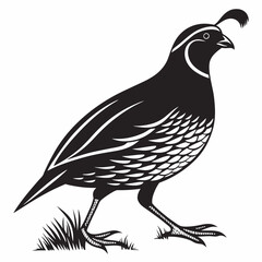 quail black silhouette icon vector