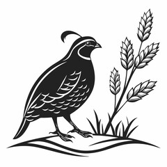 quail black silhouette icon vector