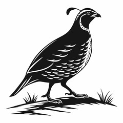 Fototapeta premium quail black silhouette icon vector