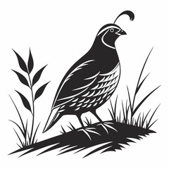 quail black silhouette icon vector