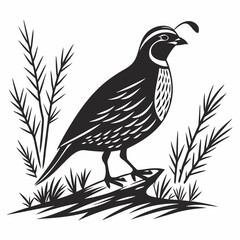 quail black silhouette icon vector