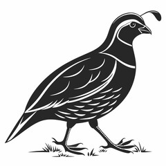 quail black silhouette icon vector
