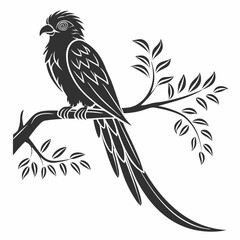 Quetzal black silhouette icon vector
