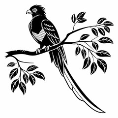 Quetzal black silhouette icon vector