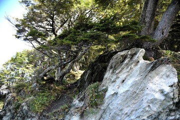 View at Tierra del Fuego near Ushuaia Argentina