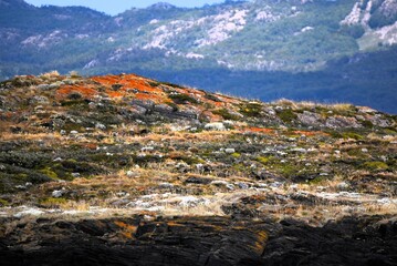View in Tierra del Fuego Argentina