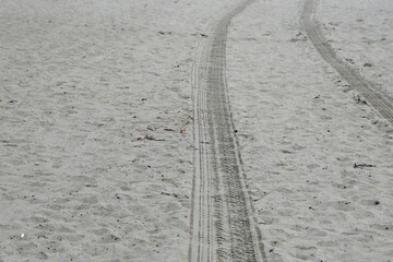 Tire tracks in the sand on a beach