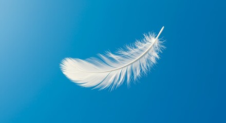 Obraz premium White feather floating against a vibrant blue background, symbolizing lightness and tranquility, representing freedom and abstract emotions