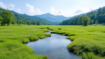 Obraz premium Serene meadow stream flows through lush green valley