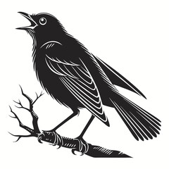 Robin black silhouette icon vector