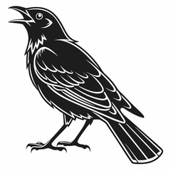 Robin black silhouette icon vector