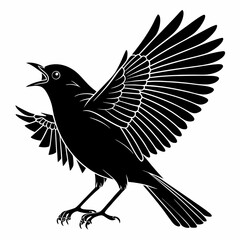 Robin black silhouette icon vector