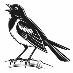 Robin black silhouette icon vector