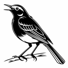 Robin black silhouette icon vector