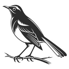 Robin black silhouette icon vector