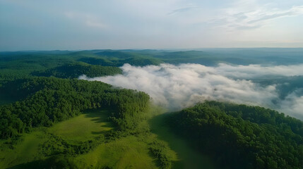Aerial View Of Lush Green Forest With Misty Mountains
