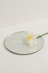 White Narcissus on Mirror with Steam – Easter Reflection