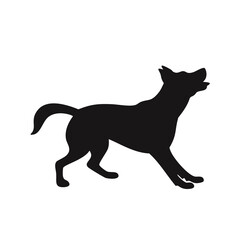 black cat silhouette