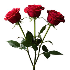 Naklejka premium three red roses isolated on a transparent background 