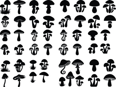 mushrooms line art set mashroom line art vacto illustration of mushrooms vector design Mushrooms icon set Black Symbols - Edible Mushrooms