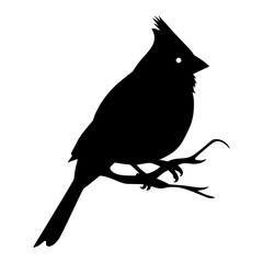 Obraz premium Cardinal Silhouette - Bird Graphic