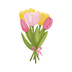 Bouquet of pink and yellow tulips tied with a ribbon and a bow. Isolated vector illustration on a white background.