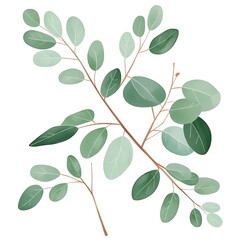 green leaves isolated on white