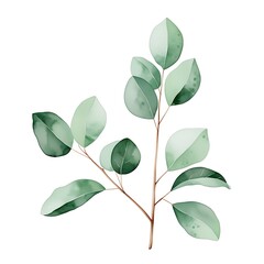 green leaves isolated on black 