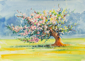 Cherry blossom tree on meadow drawing by watercolor, aquarell sketch of blooming apple tree, painting garden, hand drawn art background.