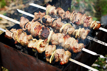 Skewers with barbecue on the grill.