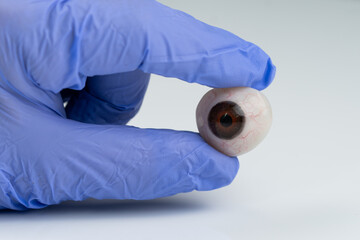 Ocularist holding brown prosthetic eye in gloved hand