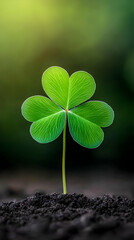 Naklejka premium Vibrant green three-leaf clover sprout emerging from dark soil