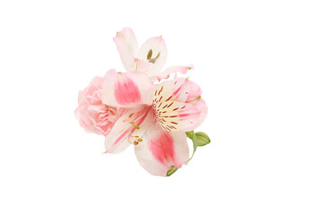 カーネーションとアルストロメリアの花束