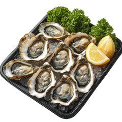 A tray of freshly shucked oysters isolated on white background