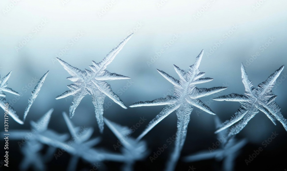 Poster intricate ice crystals create beautiful star-shaped patterns on a frosty winter window pane.