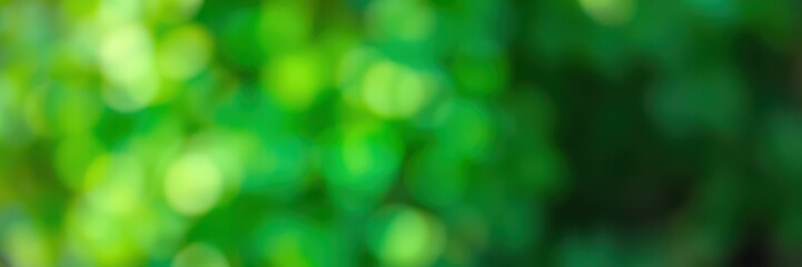 Soft green bokeh effect created by sunlight filtering through leaves in a lush garden