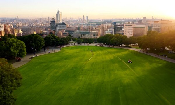 scenic view of the park with green grass field in city