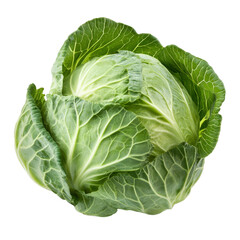 Fresh green cabbage isolated on a transparent background perfect for culinary use and healthy meals, fresh cabbage isolated on transparent background