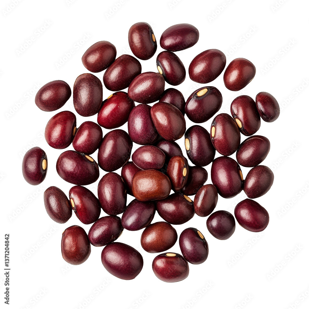 Poster group of adzuki beans arranged on a transparent background showcasing their rich color and oval shap