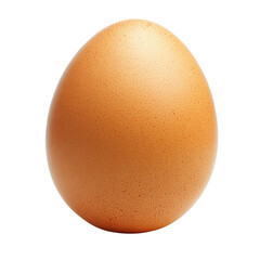 A singular brown egg rests on a clean transparent surface highlighting its smooth texture and natural color, Egg on transparent background